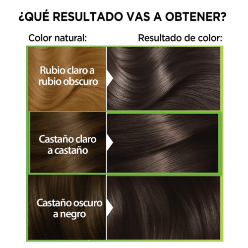 GARNIER NUTRISSE TINTURA N°40 - Imagen 2